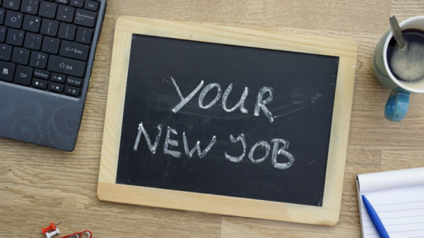 Jadi Karyawan Baru Harus Bagaimana