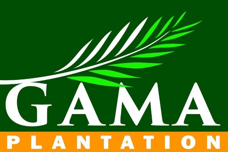 PT GAMA Plantation